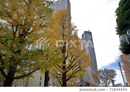 Tokyo walk near Nishi-Shinjuku Chuo-dori in autumn Tokyo walk near Nishi-Shinjuku Chuo-dori in autumn 72644454