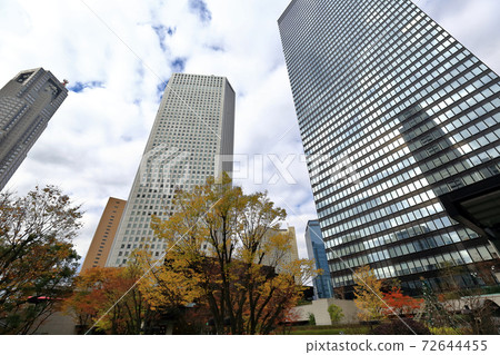 Tokyo walk near Nishi-Shinjuku Chuo-dori in autumn 72644455