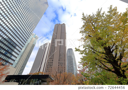 Tokyo walk near Nishi-Shinjuku Chuo-dori in autumn 72644456