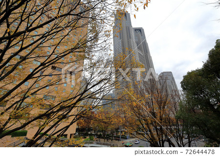Walk in Tokyo, Nishi-Shinjuku in autumn, near the intersection in front of Shinjuku Chuo Park 72644478