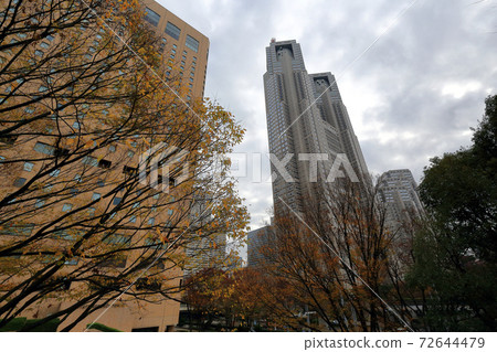 Walk in Tokyo, Nishi-Shinjuku in autumn, near the intersection in front of Shinjuku Chuo Park 72644479