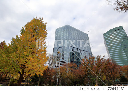 Tokyo walk, autumn Nishi-Shinjuku, near Shinjuku Central Park Tokyo walk, autumn Nishi-Shinjuku, near Shinjuku Central Park 72644481