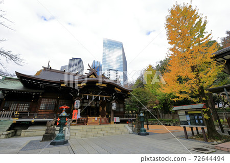 東京走道，新宿西區秋天，靠近熊野神社新宿中央公園 72644494
