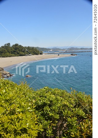 Keihama (Overlooking Cape Ridge Cape from Cape Lower Ridge Head) (Kochi Prefecture Kochi City Uraido) Keihama (Overlooking Cape Ridge Cape from Cape Lower Ridge Head) (Kochi Prefecture Kochi City Uraido) 72645010