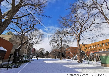 北海道雪大學 72645442
