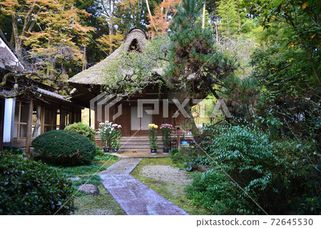 Nishinenji Temple 2020-11-18 # 10 72645530