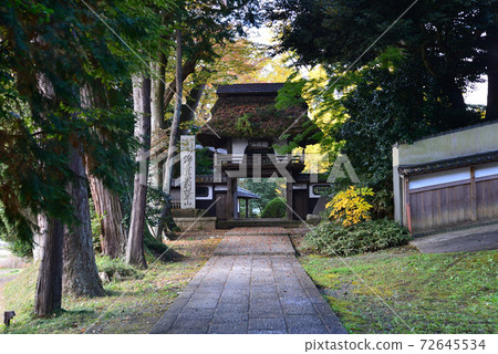 Nishinenji Temple 2020-11-18 # 6 72645534