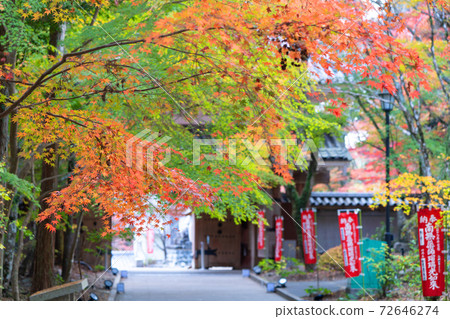 Yuzanji寺廟秋葉 72646274