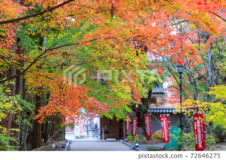 Autumn leaves of Yuzanji Temple 72646275