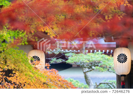 Yuzanji寺廟秋葉 72646276