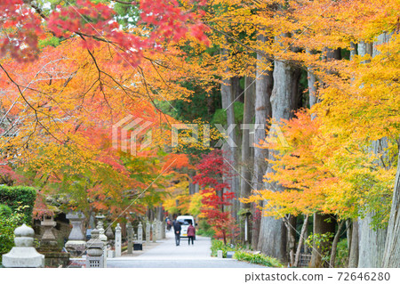 Hodaniyama Soneiji寺廟秋葉 Hodaniyama Soneiji寺廟秋葉 72646280