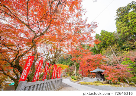 Hodaniyama Soneiji寺廟秋葉 72646316
