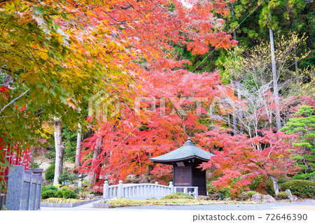 Hodaniyama Soneiji寺廟秋葉 72646390