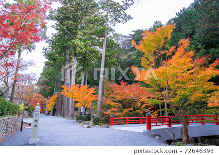 Hodaniyama Soneiji寺廟秋葉 72646393