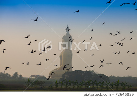 birds flying infront buddha 72646859