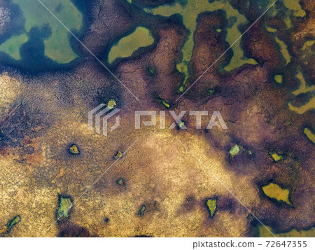 Close up of drying Pond in the end of summer Close up of drying Pond in the end of summer 72647355