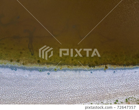 Close up of drying Pond in the end of summer 72647357
