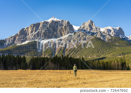 A woman is walking the dog in Quarry Lake Park in late autumn season sunny day morning. Snow capped Mount Rundle mountains in the background. Canmore, Alberta, Canada. A woman is walking the dog in Quarry Lake Park in late autumn season sunny day morning. Snow capped Mount Rundle mountains in the background. Canmore, Alberta, Canada. 72647692