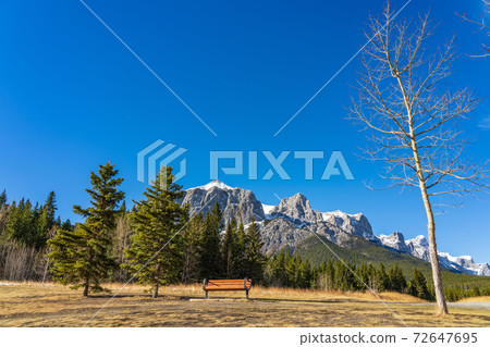 Quarry Lake Park in late autumn season sunny day morning. Snow capped Mount Rundle mountains in the background. Canmore, Alberta, Canada. 72647695