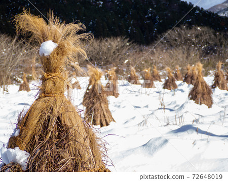 Snow and dried rice straw Snow and dried rice straw 72648019