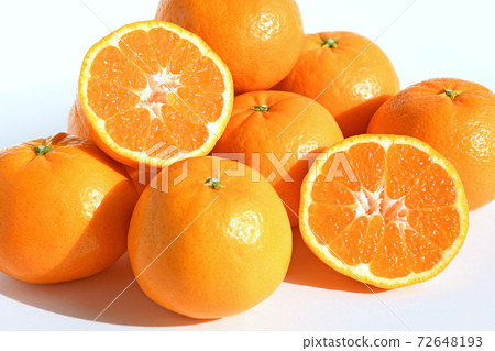 Mikan(晴姬) Mikan(晴姬) 72648193