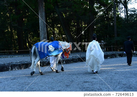 Shinma Shochi 72649613