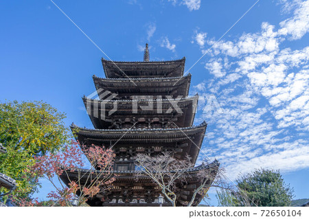 Hokanji 72650104