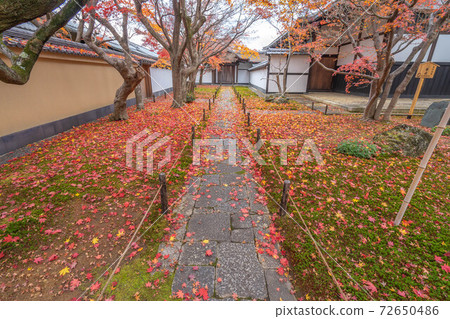 黃梅研究所 黃梅研究所 72650486