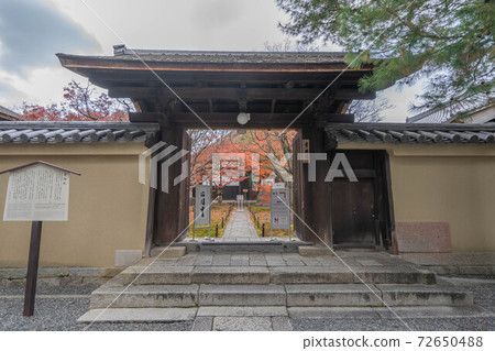 Huomingin Huomingin 72650488