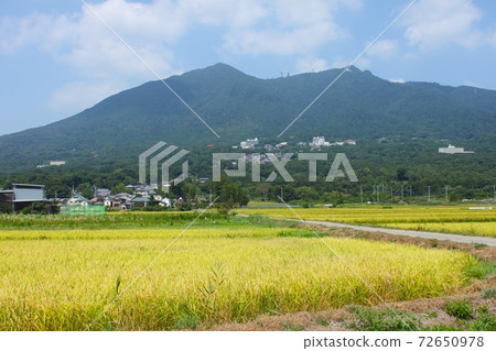 筑波山的遠景 72650978