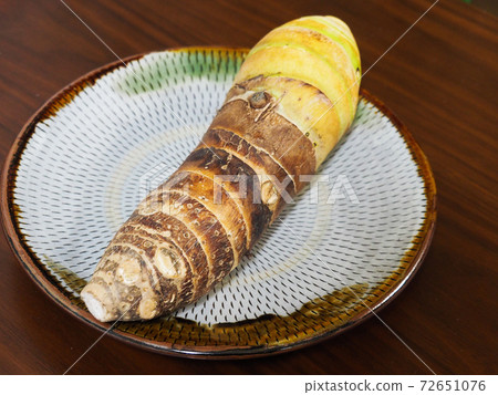 Bamboo shoots Bamboo shoots 72651076