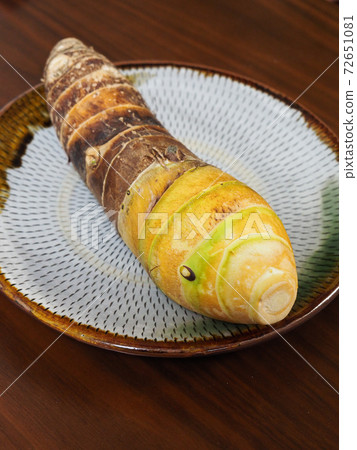 Bamboo shoots 72651081