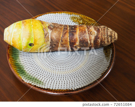 Bamboo shoots 72651084