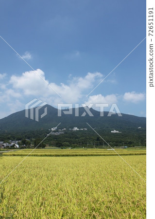 筑波山和稻田 72651191