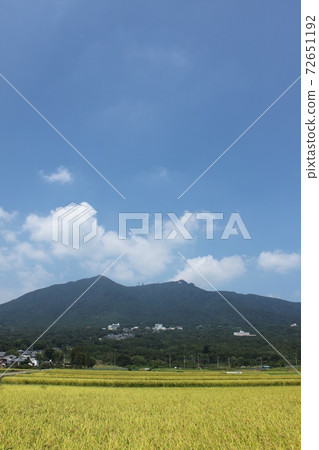 Mt. Tsukuba and Rice field 72651192