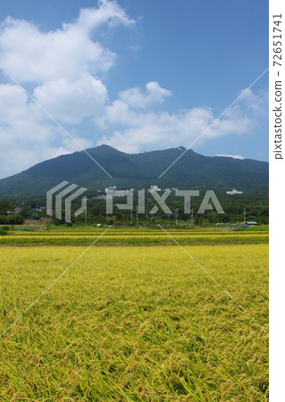 Mount Tsukuba and fruitful rice fields Mount Tsukuba and fruitful rice fields 72651741
