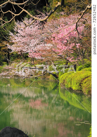 海地獄 海地獄 72652482