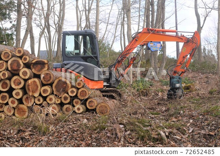 Creation of a villa area with heavy machinery Creation of a villa area with heavy machinery 72652485