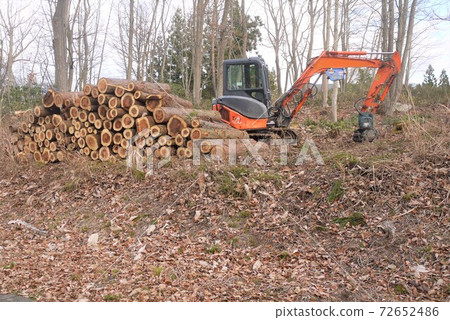 Creation of a villa area with heavy machinery Creation of a villa area with heavy machinery 72652486