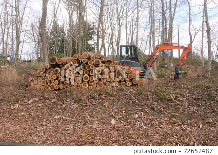 Creation of a villa area with heavy machinery Creation of a villa area with heavy machinery 72652487