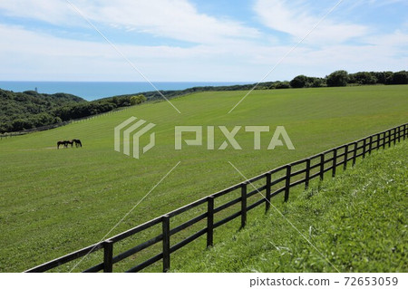 Scenery of the ranch (Hidaka region, Hokkaido) Scenery of the ranch (Hidaka region, Hokkaido) 72653059