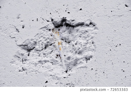 牆上的洞 72653383