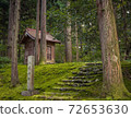 站在長滿苔蘚的森林裡的神社 72653630