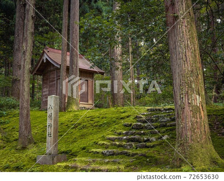 站在長滿苔蘚的森林裡的神社 站在長滿苔蘚的森林裡的神社 72653630