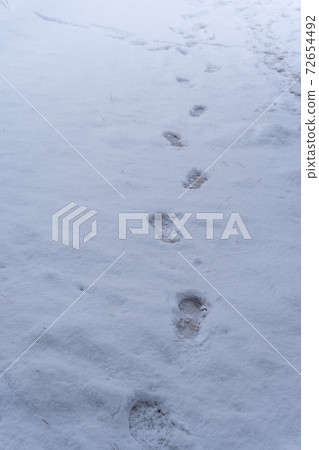 Footprints left in the piled snow 72654492