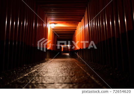 Midnight Senbon Torii Midnight Senbon Torii 72654620