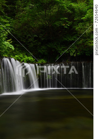 Fresh green and Shiraito Falls Fresh green and Shiraito Falls 72654640