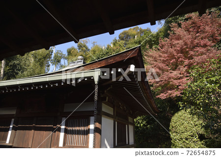 龍宮海山堂 龍宮海山堂 72654875