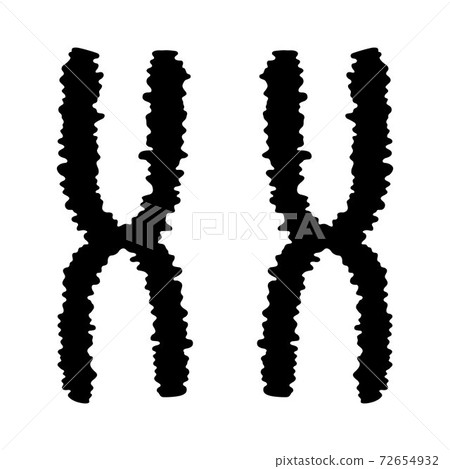 ve-4634.eps ve-4634.eps 72654932