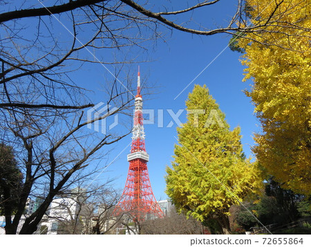 東京鐵塔和黃葉銀杏 東京鐵塔和黃葉銀杏 72655864